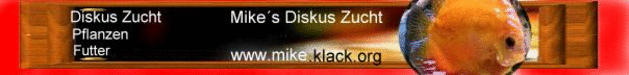 banner.gif